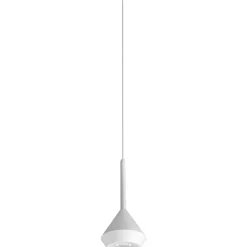 Spin | metallized gold