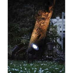 Spotlight IP | black