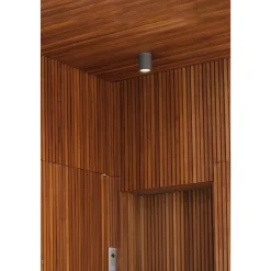Tasa IP | white