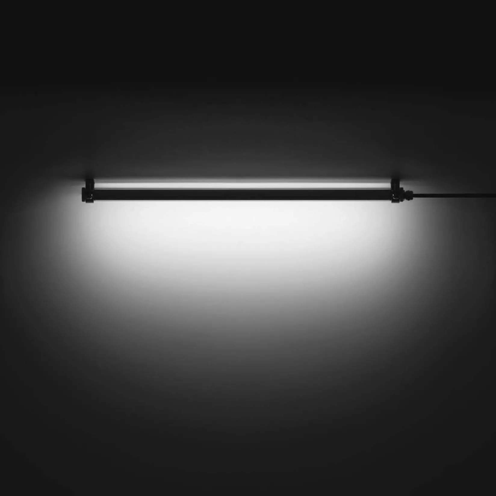 TNC IP67 ⌀2,4 | 30-55cm