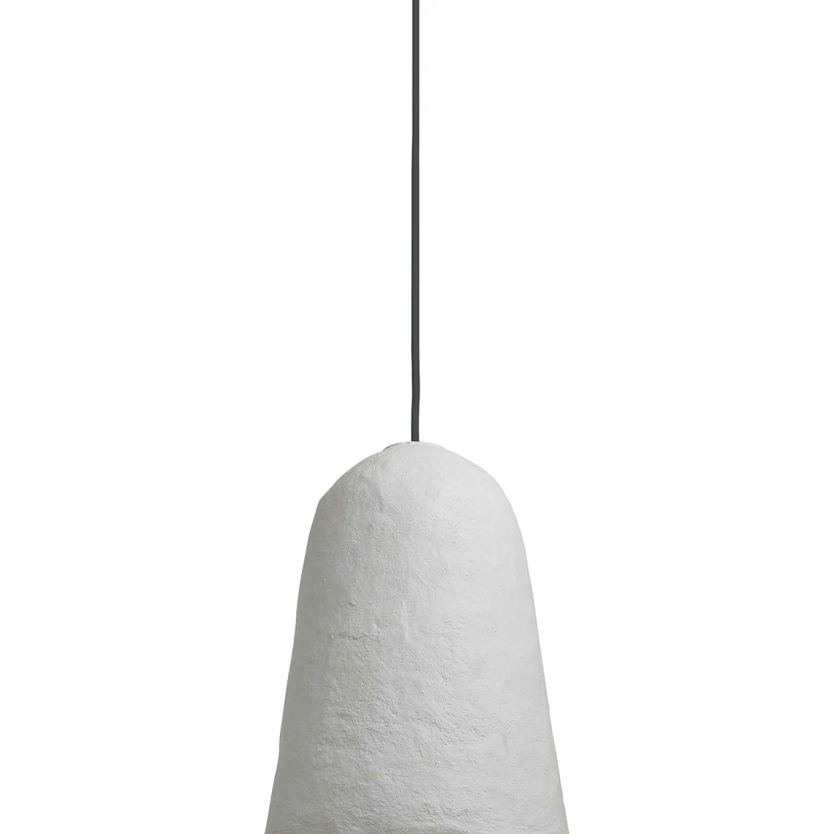 Tulip | white