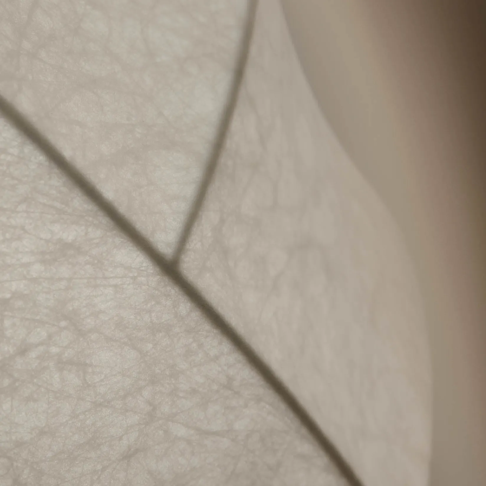 Turner 50-65 pendant | cocoon