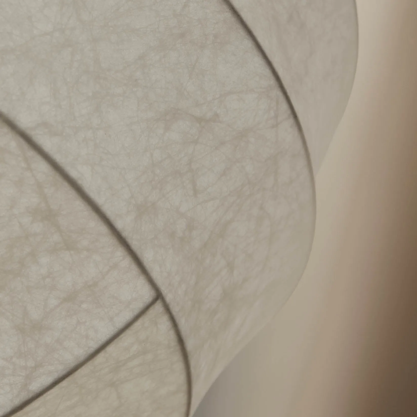 Turner 50-65 pendant | cocoon