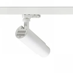 Zuma 3C dim | white